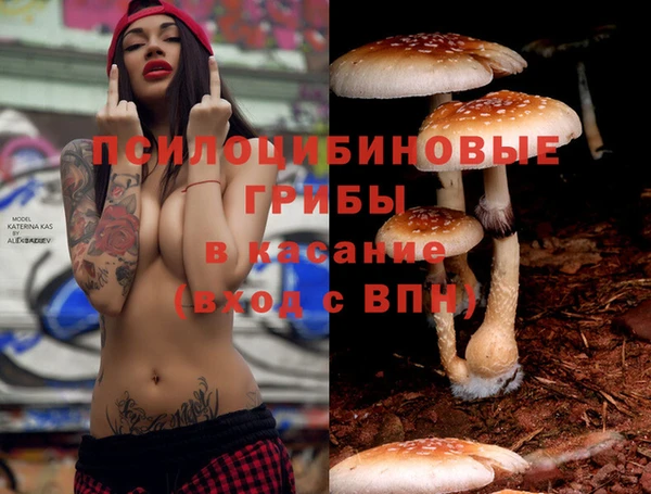 меф Алексин