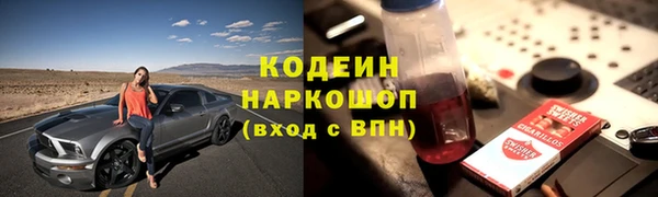 крисы Абаза