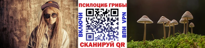 Галлюциногенные грибы мицелий  Одинцово 